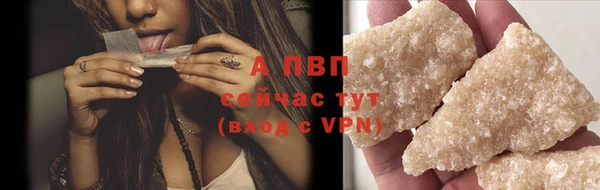 спиды Волоколамск