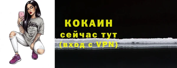 молекула духа Верхний Тагил