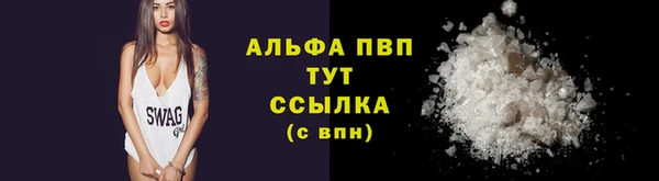 гидра Володарск