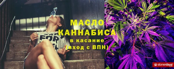 молекула духа Верхний Тагил