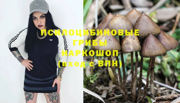 гидра Володарск