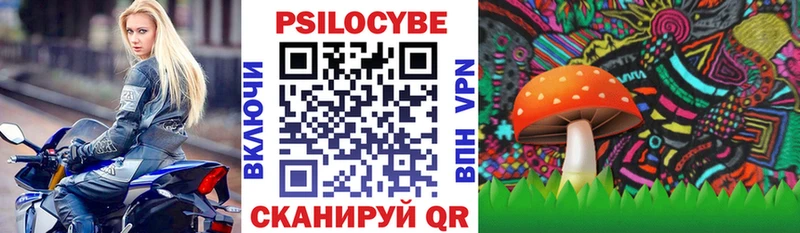 Псилоцибиновые грибы MAGIC MUSHROOMS Ишим